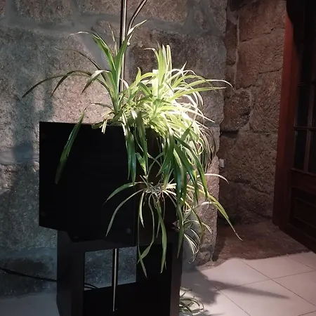 Casa Da Aldeia *